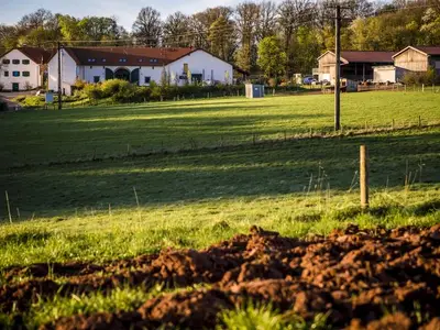 Bauernhof für 2 Personen (23 m²) in Wadern 7/10