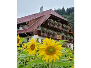 Bauernhof für 6 Personen (110 m²) in Oppenau