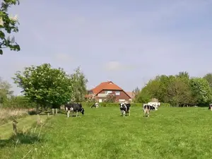 Bauernhof für 5 Personen (60 m²) in Westerholt