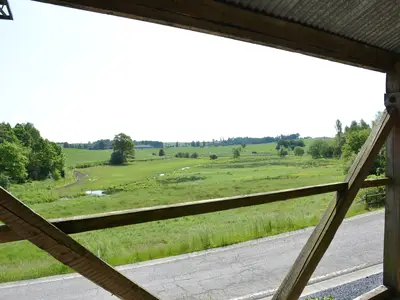 ViewSummer