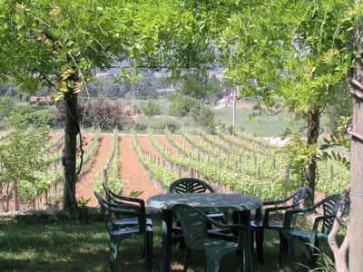 TerraceBalcony