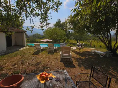GardenSummer
