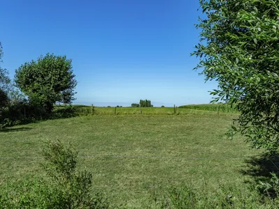 ViewSummer