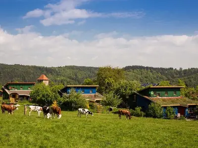 Bauernhof für 2 Personen (6 m²) in Harbshausen 3/10