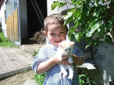 Bauernhof für 3 Personen (20 m²) in Vorderstoder 5/10