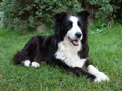 Bauernhof für 3 Personen (35 m²) in Vorderstoder 10/10