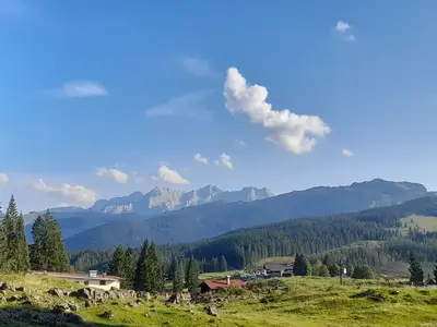Ausblick auf die Winklmoos-Alm mit Steinplatte
