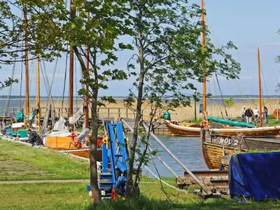 AreaSummer1KM