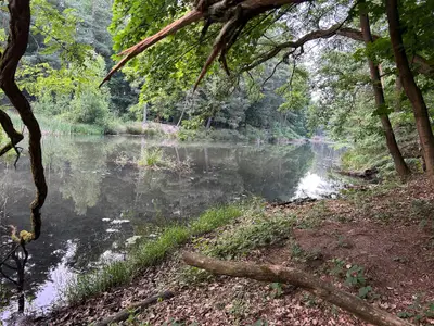 Boot für 2 Personen (10 m²) in Coswig (Sachsen-Anhalt) 8/10