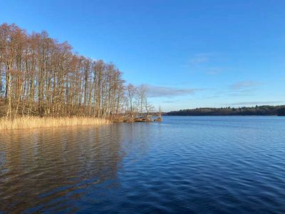 Boot für 6 Personen (50 m²) in Lychen 7/10