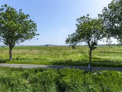 ViewSummer