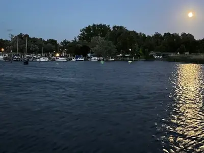 Boot für 6 Personen (45 m²) in Ribnitz-Damgarten 2/8