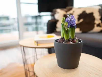 Boot für 6 Personen (45 m²) in Klitten 4/10