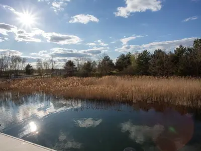 Boot für 4 Personen (45 m²) in Vetschau 9/10