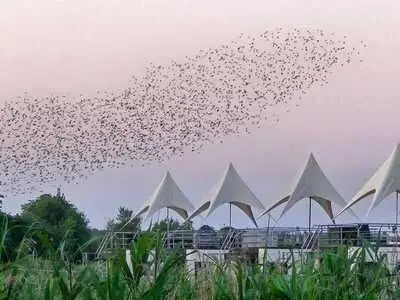 Boot für 6 Personen (45 m²) in Vetschau 6/10