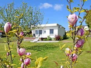 Bungalow für 2 Personen (32 m²) in Altefähr auf Rügen