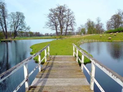 Bungalow für 2 Personen (50 m²) in Basedow (Mecklenburg-Vorpommern) 6/10