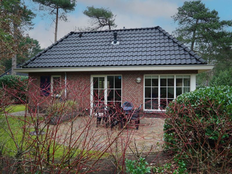 23973864-Bungalow-6-Beekbergen-800x600-1