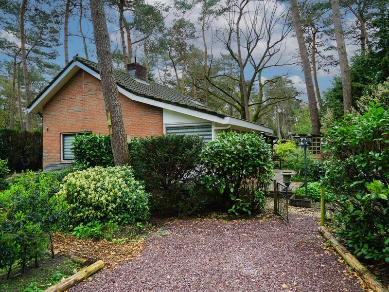 23973993-Bungalow-6-Beekbergen-800x600-0