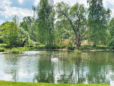 Bungalow für 2 Personen (50 m²) in Boxberg/Oberlausitz 7/10