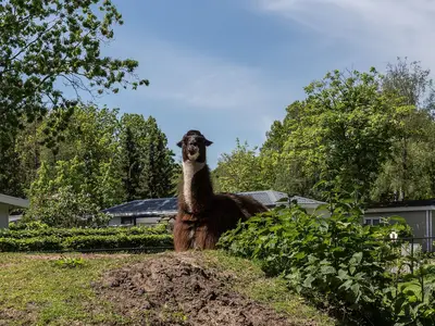 ParkFacilities