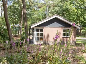 Bungalow für 4 Personen (56 m²) in Deurne