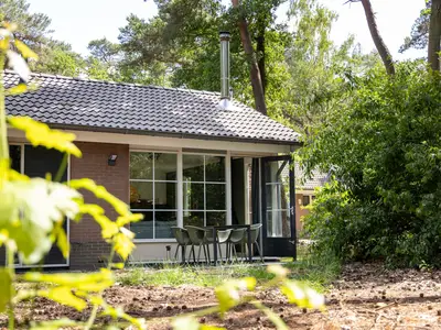 GardenSummer