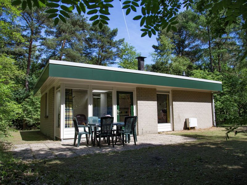 19354627-Bungalow-6-Dwingeloo-800x600-1