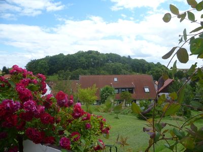 Bungalow für 2 Personen (38 m²) in Elbingerode 5/10