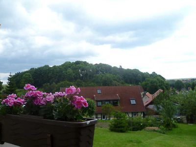 Bungalow für 3 Personen (38 m²) in Elbingerode 4/10