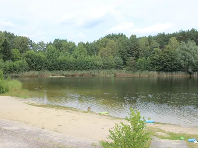 AreaSummer1KM