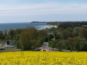 18591193-Bungalow-3-Göhren (Rügen)-300x225-4