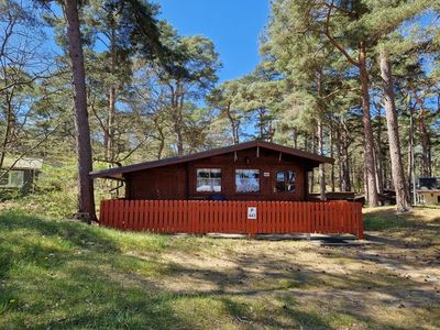 Bungalow für 4 Personen (40 m²) in Göhren (Rügen) 3/10