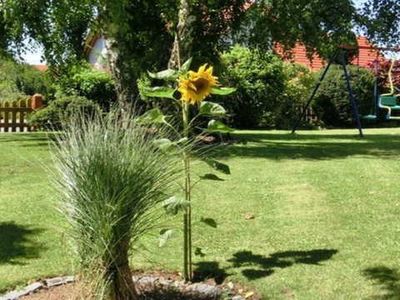 Bungalow für 3 Personen (65 m²) in Gößweinstein 2/10