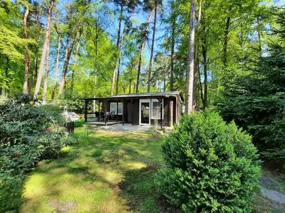 Bungalow für 4 Personen (48 m²) in Graal-Müritz (Ostseeheilbad) 2/10