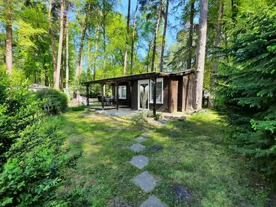 Bungalow für 4 Personen (48 m²) in Graal-Müritz (Ostseeheilbad) 4/10