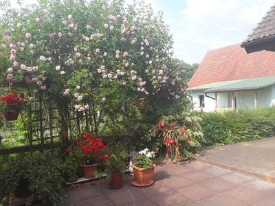 Bungalow für 3 Personen (25 m²) in Grabowhöfe 6/10