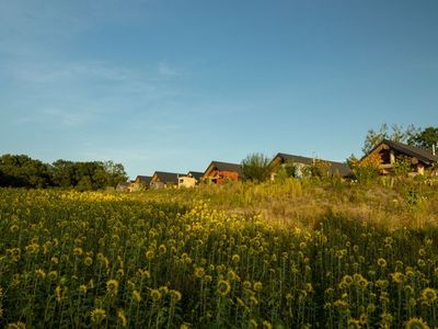 Bungalow für 3 Personen (50 m²) in Groß Nemerow 3/10