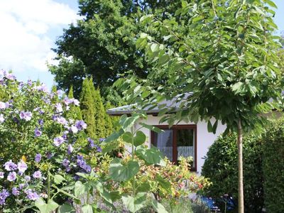 Bungalow für 5 Personen (60 m²) in Heringsdorf (Seebad) 5/10