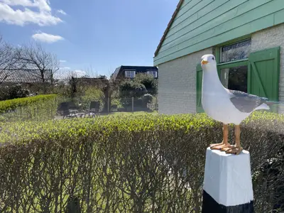 Bungalow für 6 Personen in Julianadorp 3/10