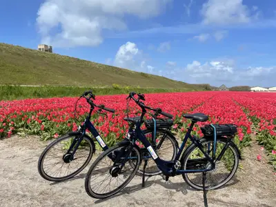 Bungalow für 5 Personen in Julianadorp 5/10