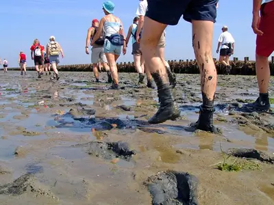 Bungalow für 4 Personen in Julianadorp 8/10