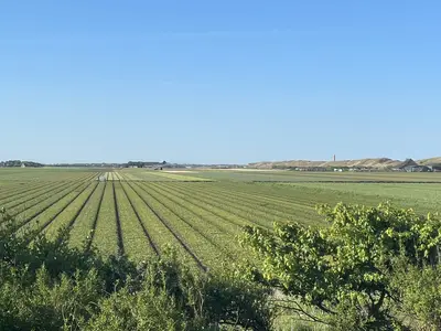 Bungalow für 6 Personen in Julianadorp 5/10