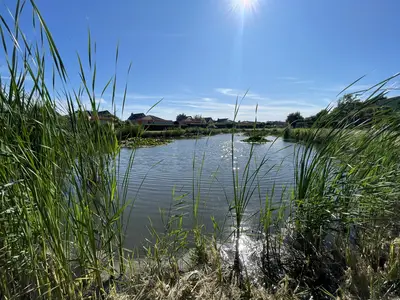 Bungalow für 6 Personen in Julianadorp 6/10