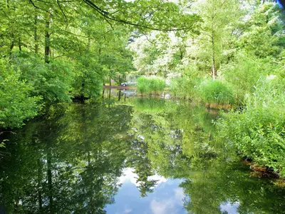 ViewSummer