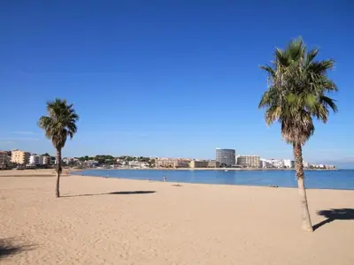 AreaSummer5KM