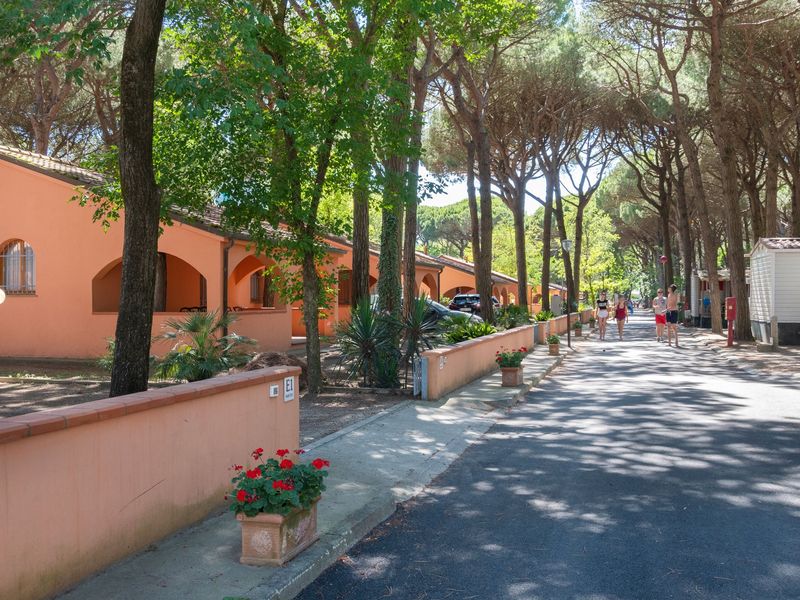 19350909-Bungalow-6-Lido Di Spina-800x600-0