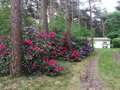 ExteriorSummer