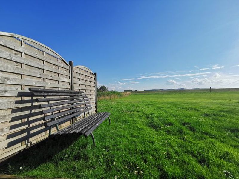 24049552-Bungalow-4-Lobbe (Rügen)-800x600-1