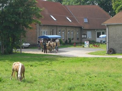 Bungalow für 4 Personen (28 m²) in Lübz 3/10